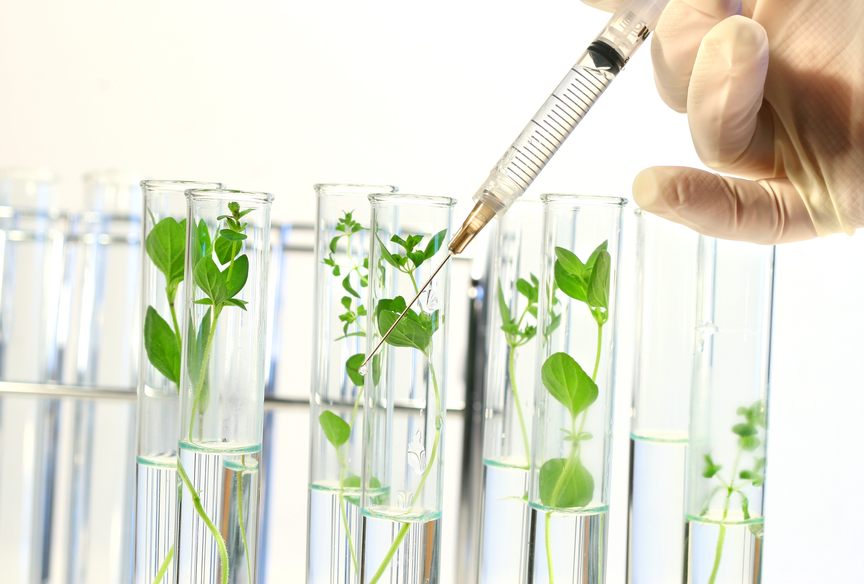 TechDay Bio-based building blocks : Quelles molécules plateformes biosourcées pour une industrie chimique performante, durable et compétitive ?