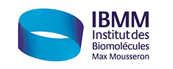 Logo adherent INSTITUT DES BIOMOLÉCULES MAX MOUSSERON (IBMM)