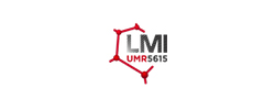 Logo adherent LABORATOIRE DES MULTIMATÉRIAUX ET INTERFACES (LMI)